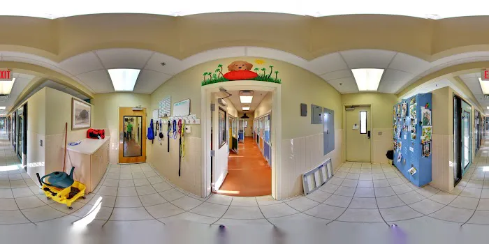 VCA Acacia Animal Hospital and Pet Resort 1