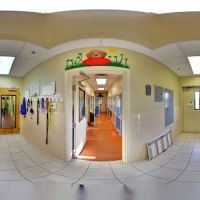 VCA Acacia Animal Hospital and Pet Resort ico