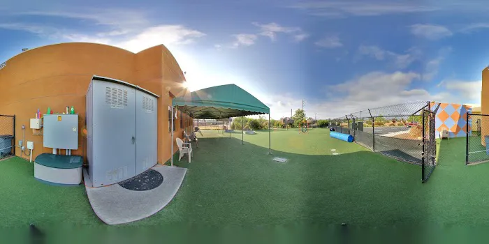 VCA Acacia Animal Hospital and Pet Resort 4