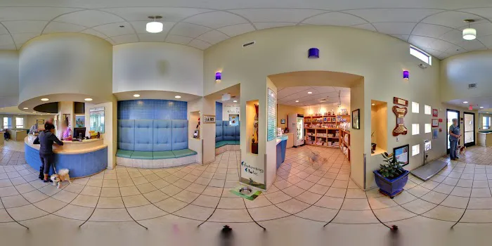 VCA Acacia Animal Hospital and Pet Resort 5