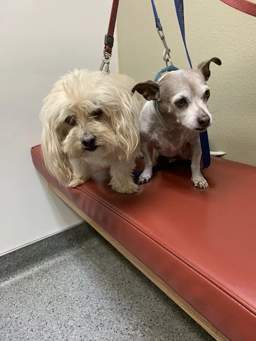 Mohnacky Animal Hospitals of Escondido 3