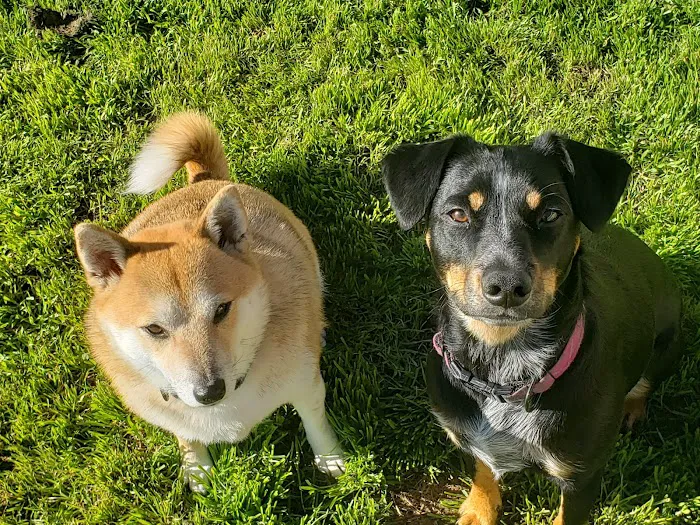 Mohnacky Animal Hospitals of Escondido 7