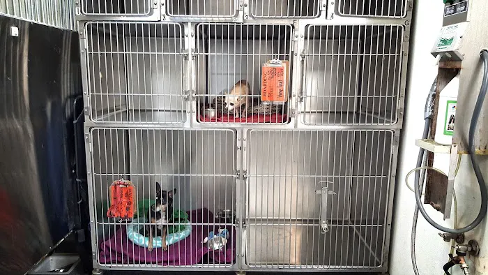 Mohnacky Animal Hospitals of Escondido 6