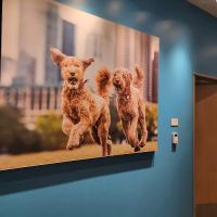Vetco Total Care Animal Hospital ico