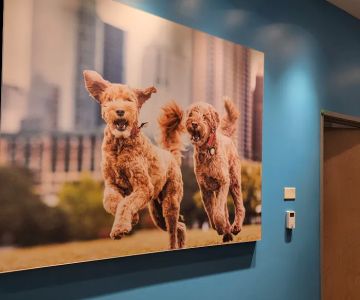 Vetco Total Care Animal Hospital