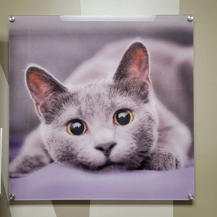 Vetco Total Care Animal Hospital 3