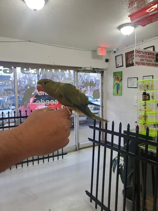 Exotic Birds Shop 9
