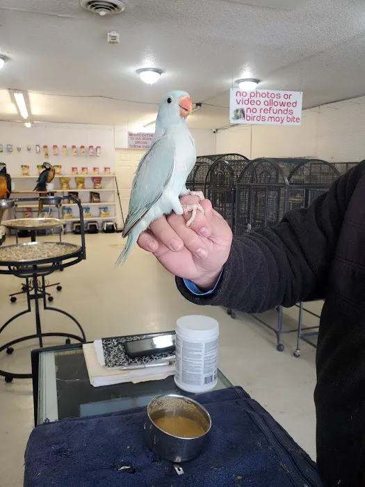 Exotic Birds Shop 5