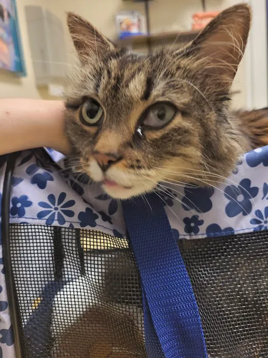 Companion Animal Health & Rehabilitation Center 1