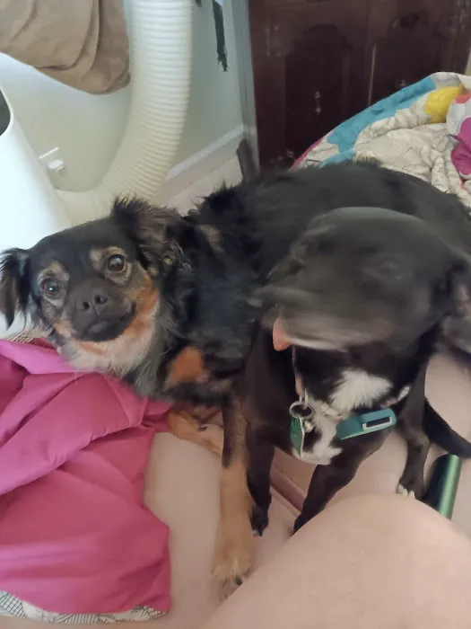 Banfield Pet Hospital 9