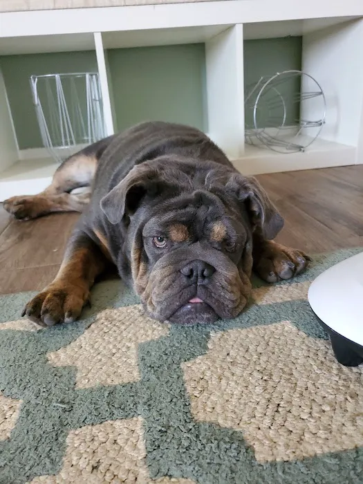 Banfield Pet Hospital 7