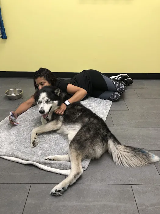 Banfield Pet Hospital 1