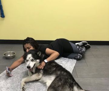 Banfield Pet Hospital