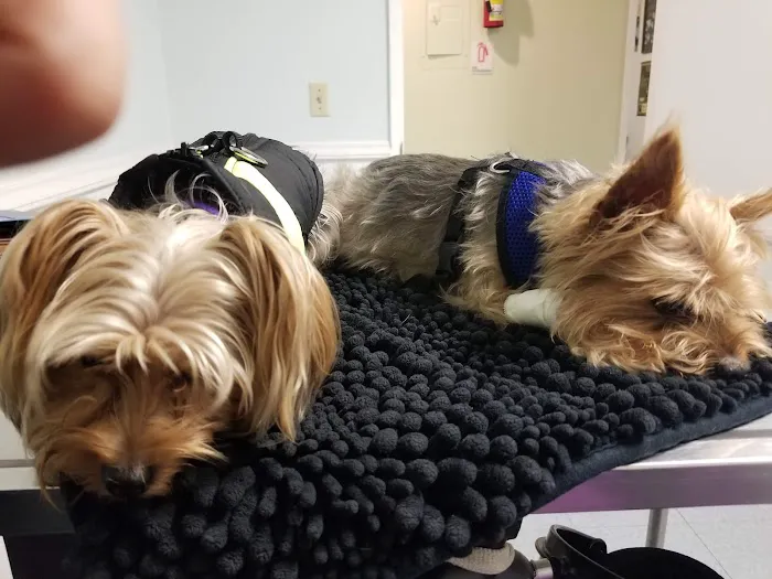 Parkway Pet Clinic: Henderson William J DVM 4