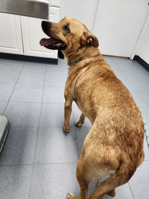 Parkway Pet Clinic 2