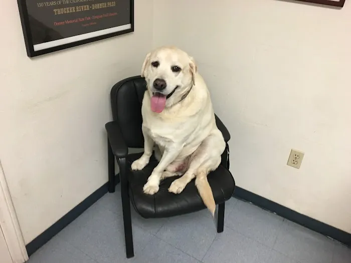 Parkway Pet Clinic 10