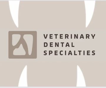 Veterinary Dental Specialties and Oral Surgery