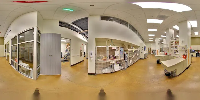 Veterinary Specialty Hospital - North County 3