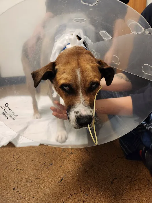 Veterinary Specialty Hospital - North County 4