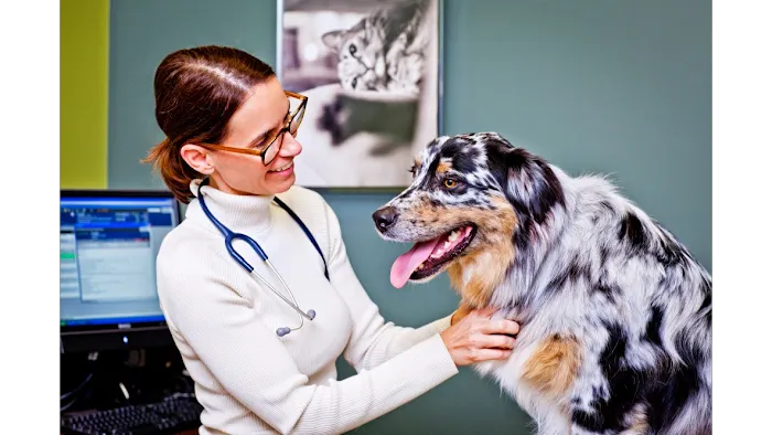 Veterinary Specialty Hospital - North County 10