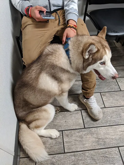 The Animal Hospital of Linden 3