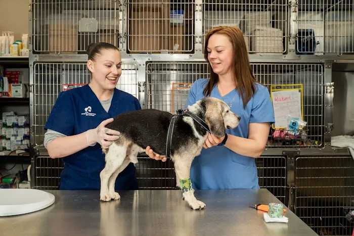 The Animal Hospital of Linden 10