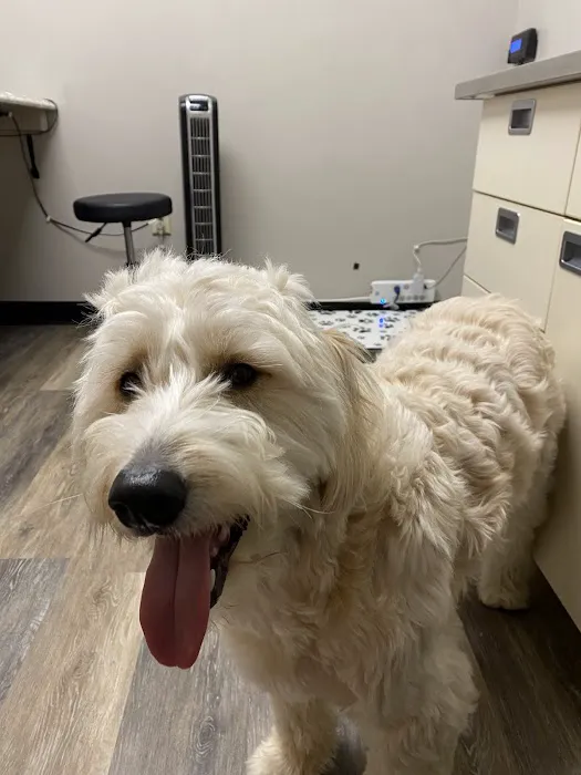 The Animal Hospital of Linden 1