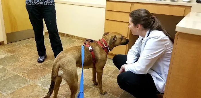 Fredon Animal Hospital 5