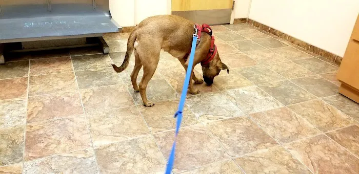 Fredon Animal Hospital 6