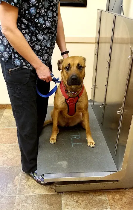 Fredon Animal Hospital 9