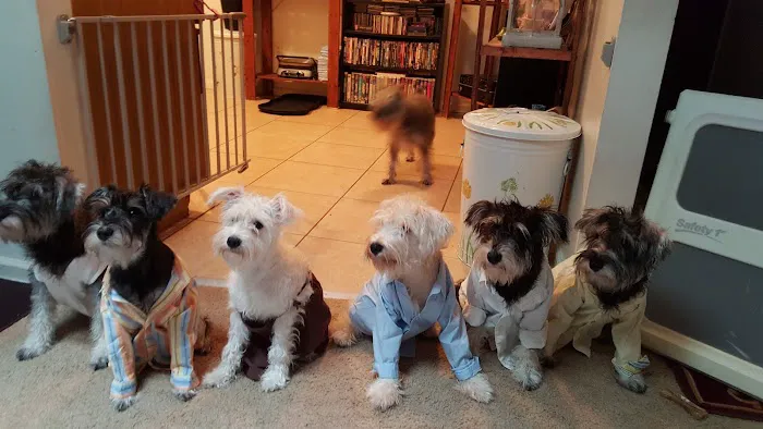 Fredon Animal Hospital 3