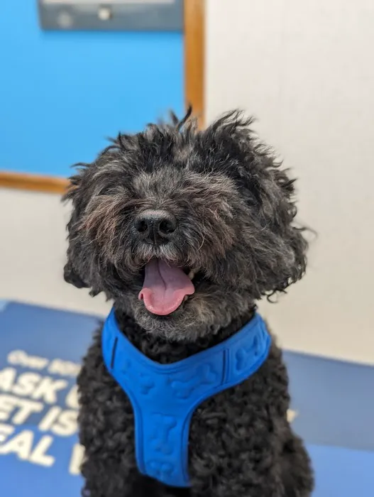 Bayonne Veterinary Medical 7