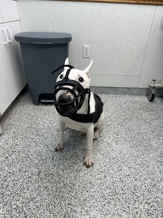 Bayonne Veterinary Medical 6