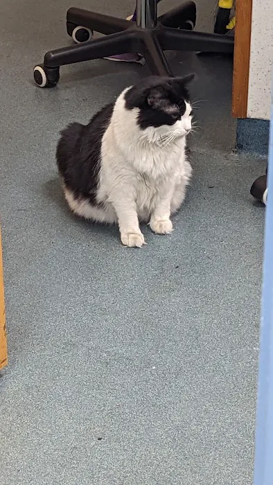 Bayonne Veterinary Medical 8