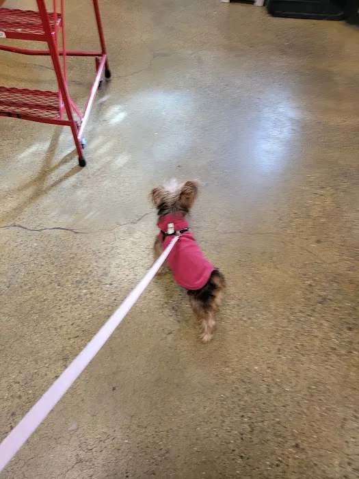 Banfield Pet Hospital 2