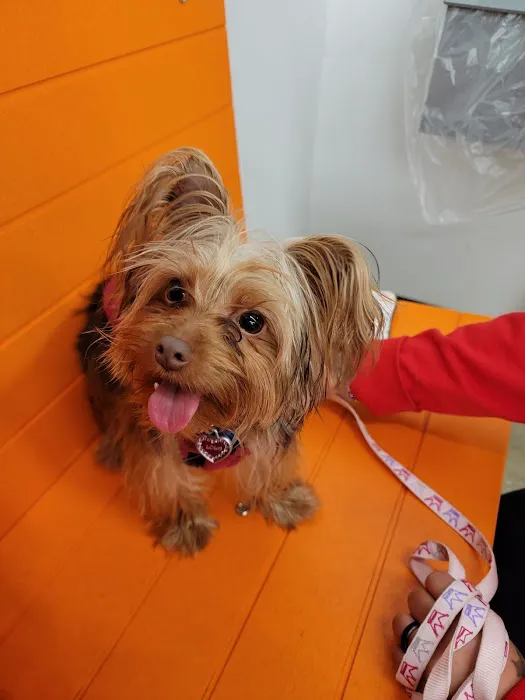 Banfield Pet Hospital 1