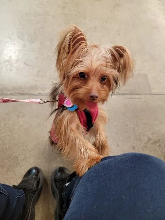 Banfield Pet Hospital 4