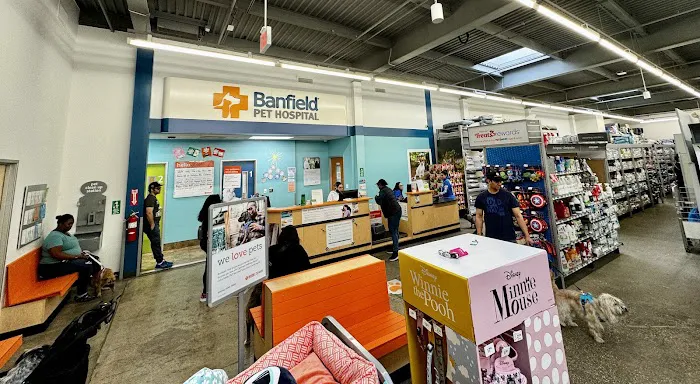 Banfield Pet Hospital 6