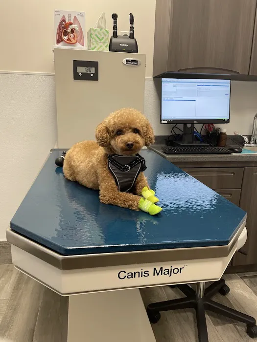 Pleasant Plains Animal Hospital North 6