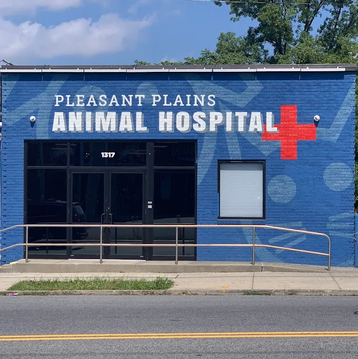 Pleasant Plains Animal Hospital North 10