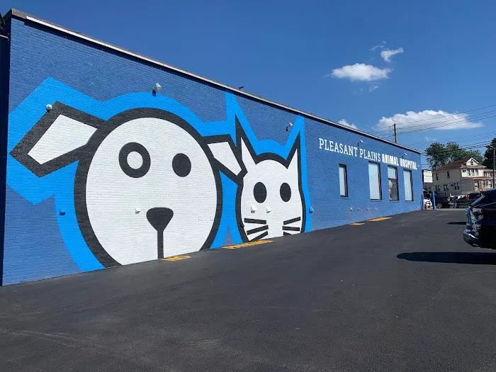 Pleasant Plains Animal Hospital North 1