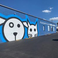 Pleasant Plains Animal Hospital North ico