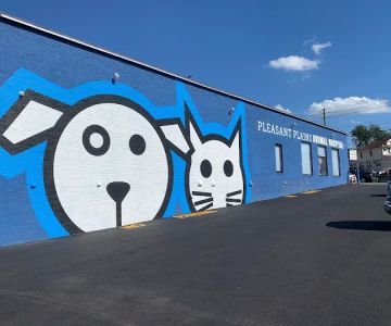 Pleasant Plains Animal Hospital North