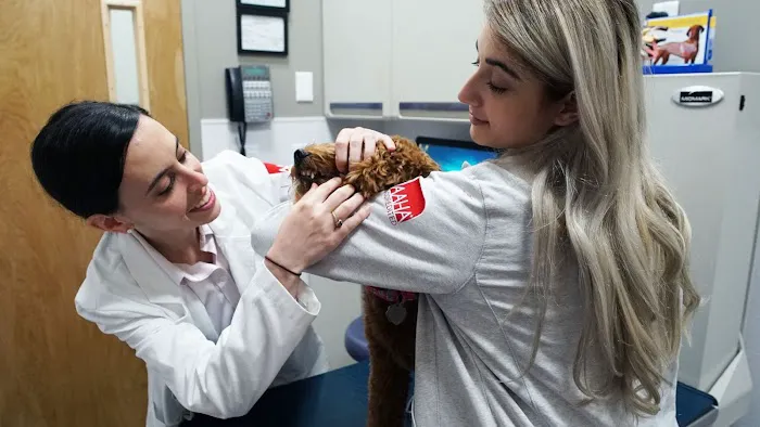 Pleasant Plains Animal Hospital North 2