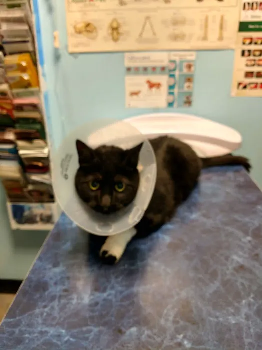 Aadobe Animal Hospital 3