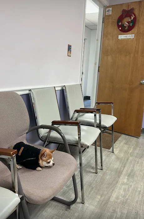 Cat Care Clinic of the Nyacks 2