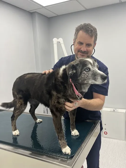 Nyack Neighborhood Veterinary 1