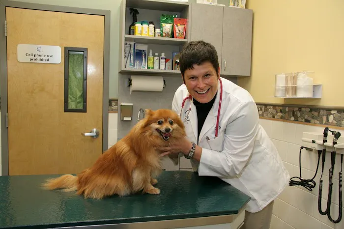Valley Cottage Animal Hospital 4