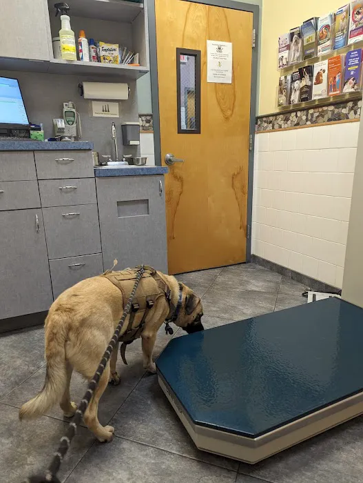 Valley Cottage Animal Hospital 6