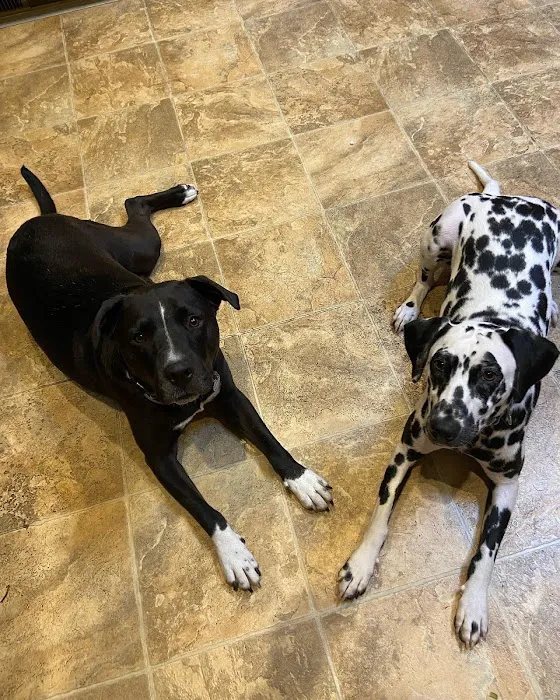 Valley Cottage Animal Hospital 9